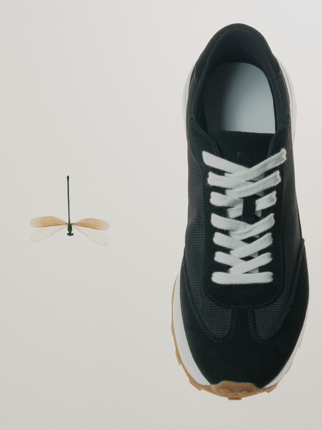 FILLIN NOVIS 詳細画像 06